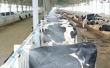 新東制冷罐出口中亞 解決哈國(guó)奶源保鮮難題